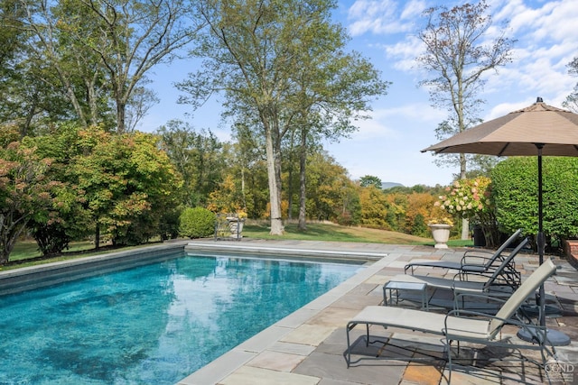 view of swimming pool featuring a patio