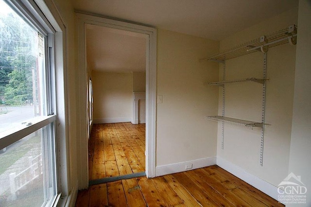 walk in closet with wood-type flooring