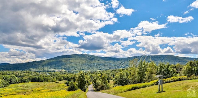 property view of mountains