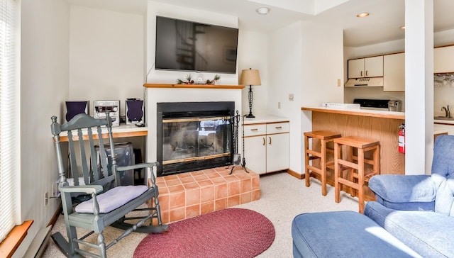 living room with a fireplace and sink