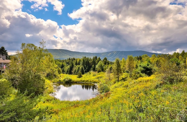 property view of mountains featuring a water view