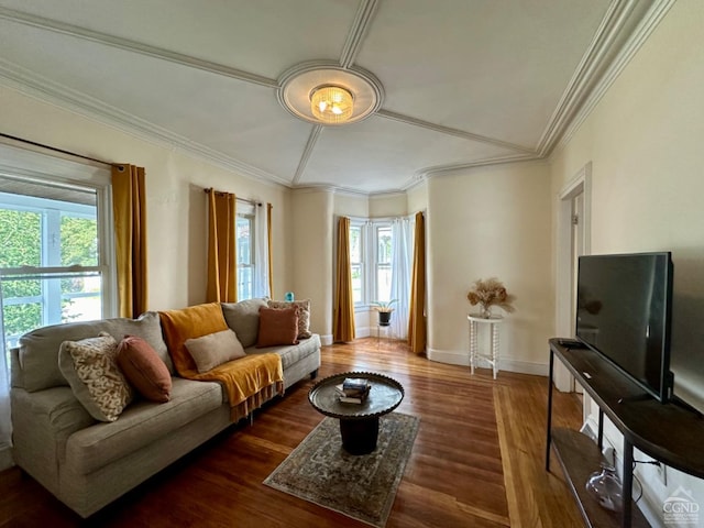 living room featuring dark hardwood / wood-style floors, a healthy amount of sunlight, and ornamental molding