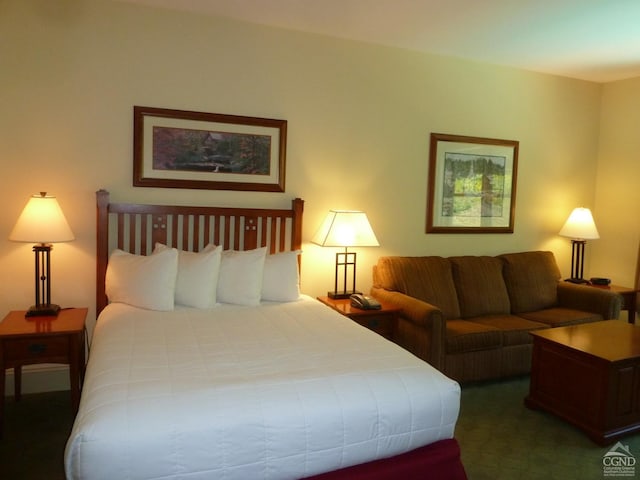 view of carpeted bedroom