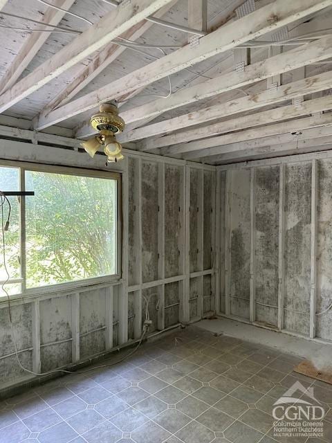 miscellaneous room with a wealth of natural light and ceiling fan