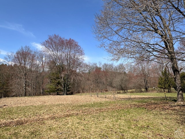 view of yard featuring a forest view