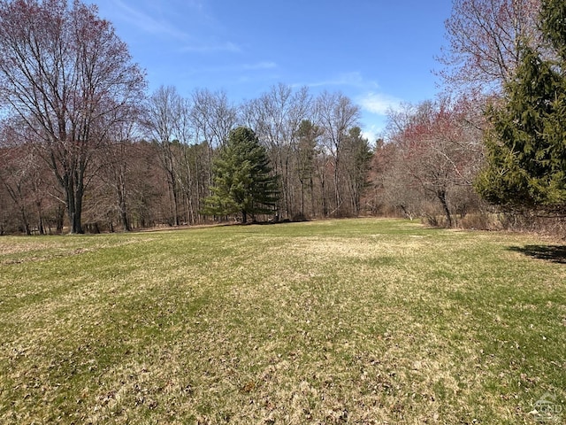 view of yard featuring a view of trees
