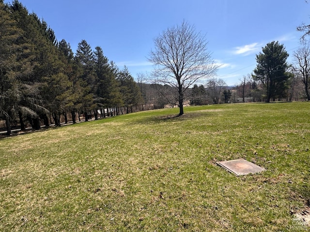 view of yard featuring a view of trees