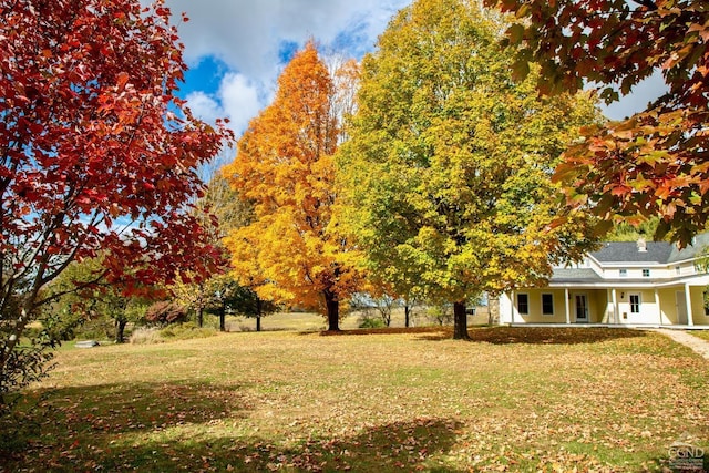 view of yard