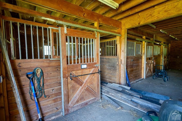 view of horse barn