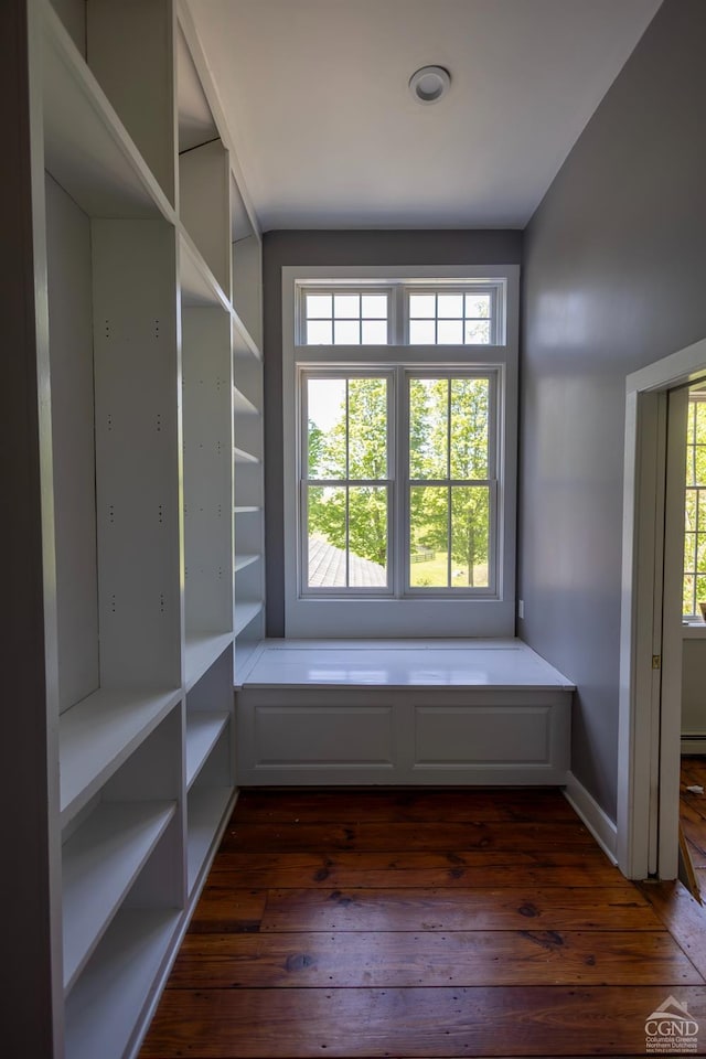 mudroom with dark hardwood / wood-style flooring