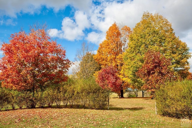 surrounding community featuring a lawn