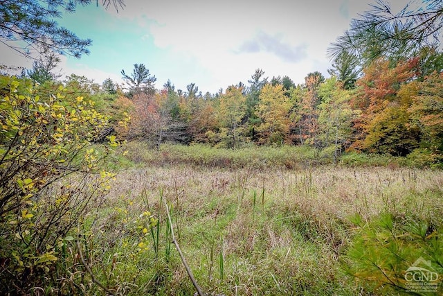 0 Rte 203, Spencertown NY, 12017 land for sale