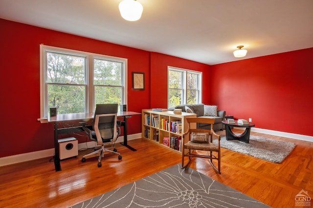 office area featuring hardwood / wood-style floors