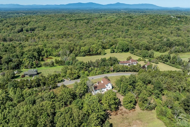 birds eye view of property with a mountain view