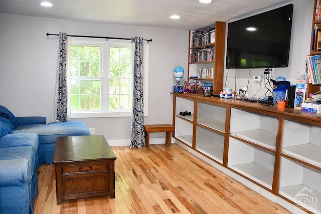 living room featuring light hardwood / wood-style floors