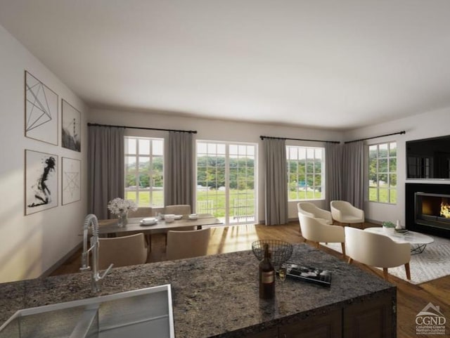 living room with hardwood / wood-style flooring, plenty of natural light, and sink