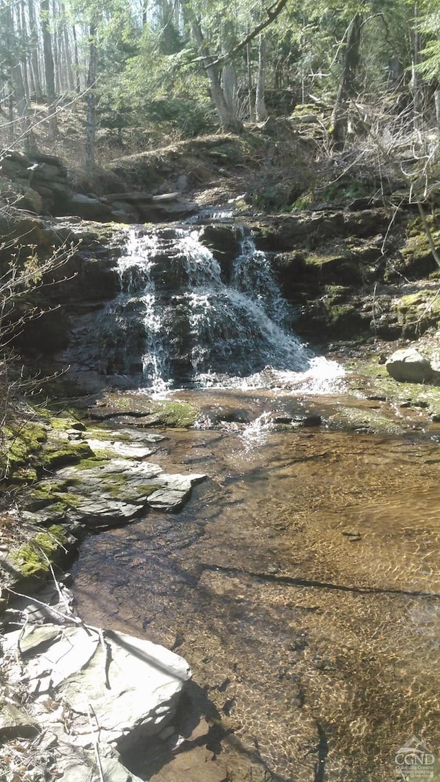 view of local wilderness