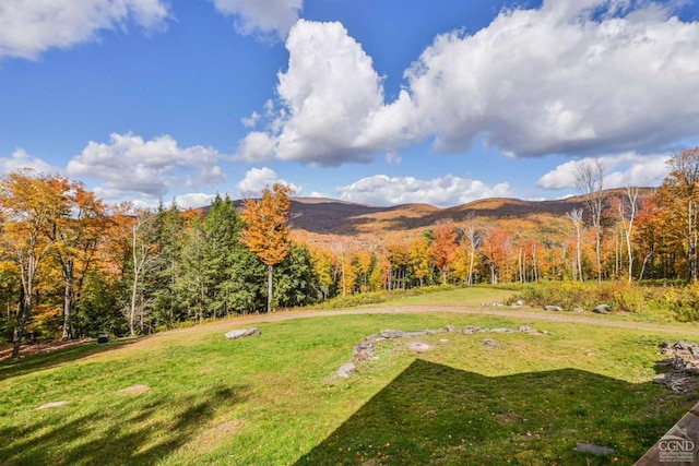 view of yard featuring a mountain view