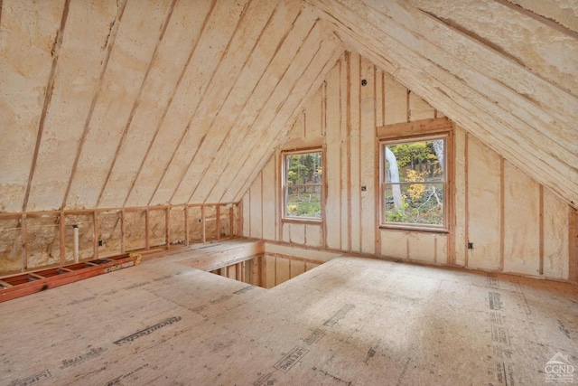 view of attic