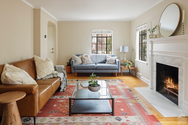 living room with a fireplace, hardwood / wood-style floors, and ornamental molding