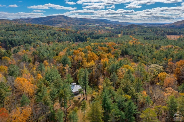 bird's eye view with a mountain view