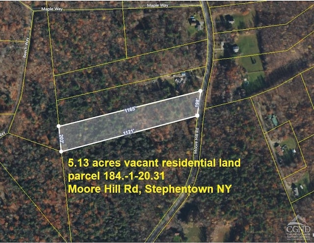 0 Moore Hill Rd, Stephentown NY, 12168 land for sale