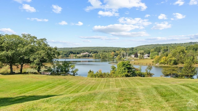 property view of water