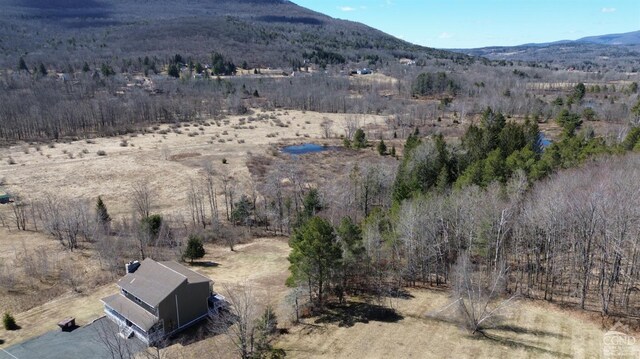 183 Brooksburgh, Windham, NY 12496 - photo 44