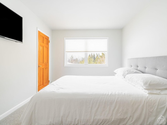 bedroom featuring carpet