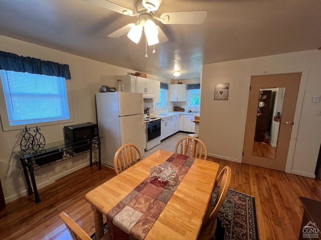 dining space with a wealth of natural light, ceiling fan, and hardwood / wood-style flooring