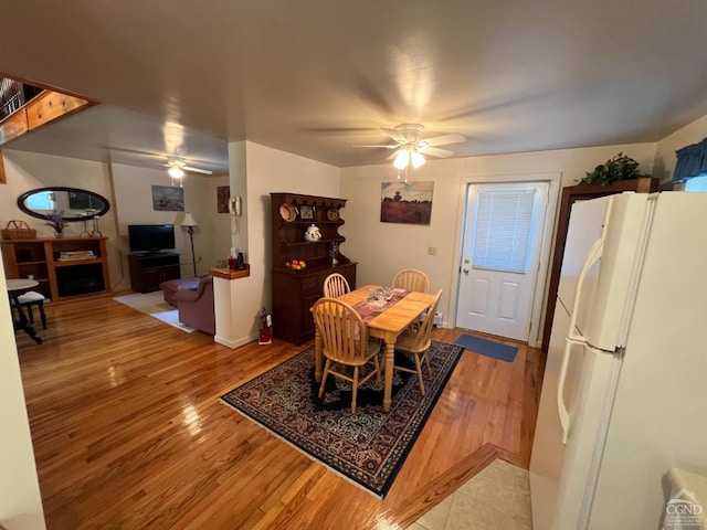 dining room featuring ceiling fan and light hardwood / wood-style flooring