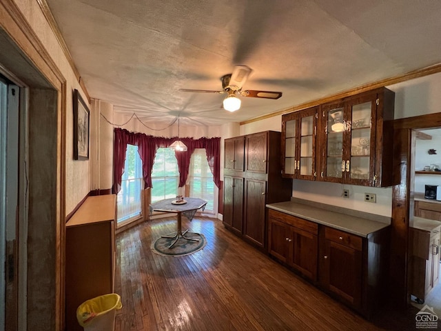 bar featuring dark wood-type flooring, crown molding, ceiling fan, a textured ceiling, and decorative light fixtures