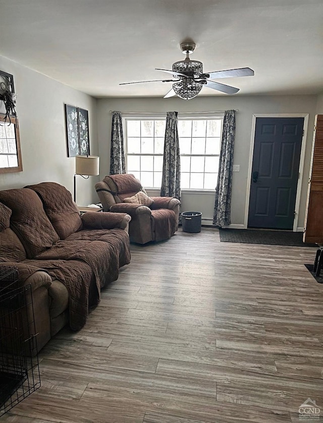 living room with ceiling fan and wood-type flooring