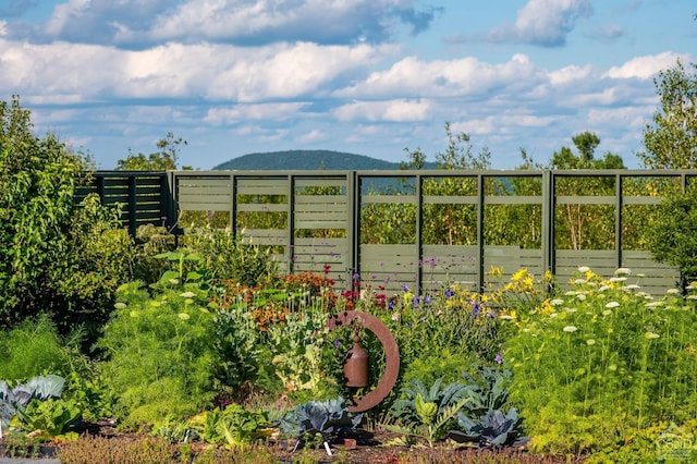 exterior space with a mountain view