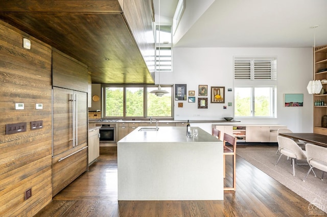 kitchen featuring dark hardwood / wood-style flooring, sink, a kitchen island with sink, and stainless steel oven