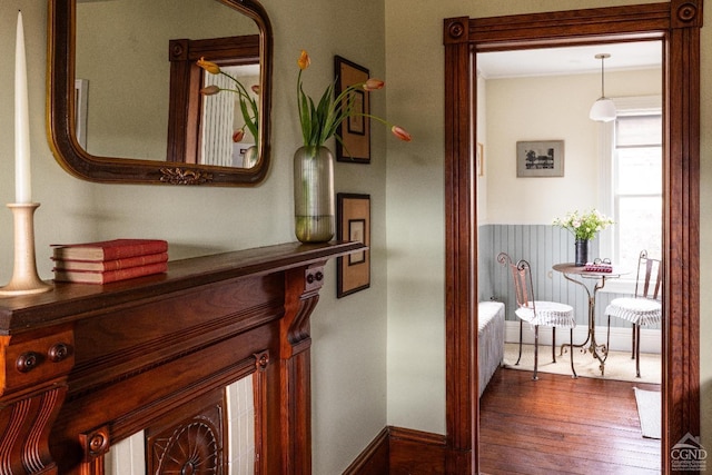 corridor with dark wood-style floors