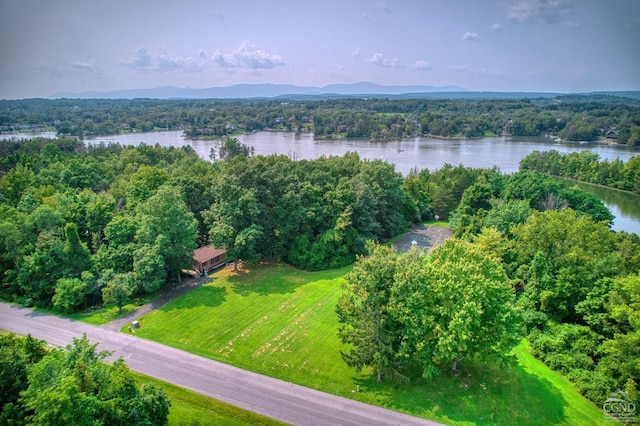 drone / aerial view with a water and mountain view