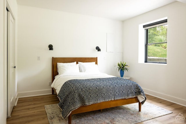 bedroom with wood-type flooring and a closet