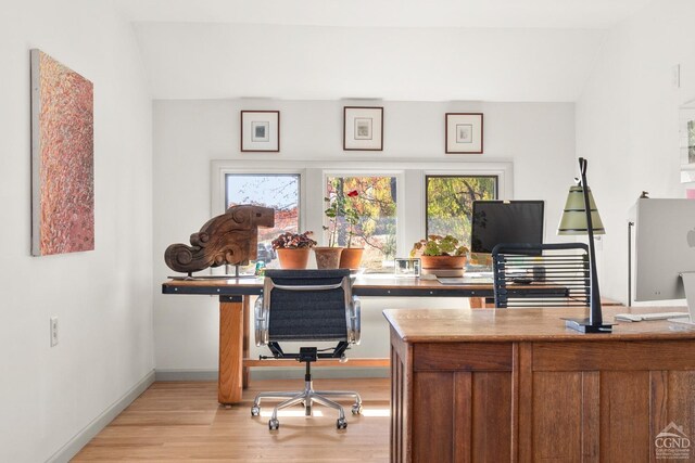 living area featuring vaulted ceiling, light wood-type flooring, and a baseboard radiator