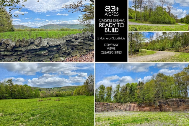 0 State Highway 28, Andes NY, 13731 land for sale