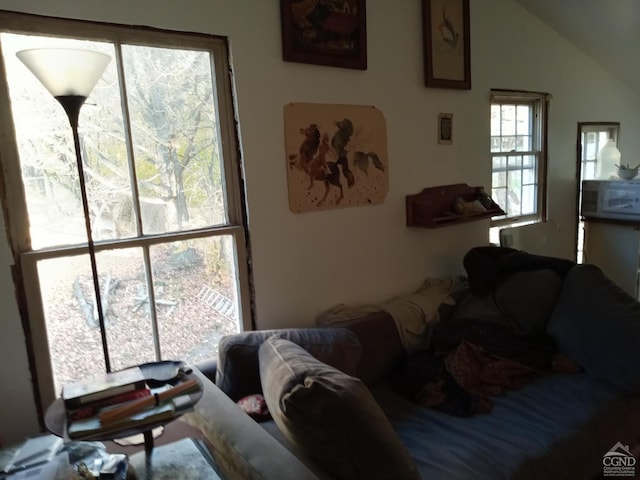 living room featuring lofted ceiling