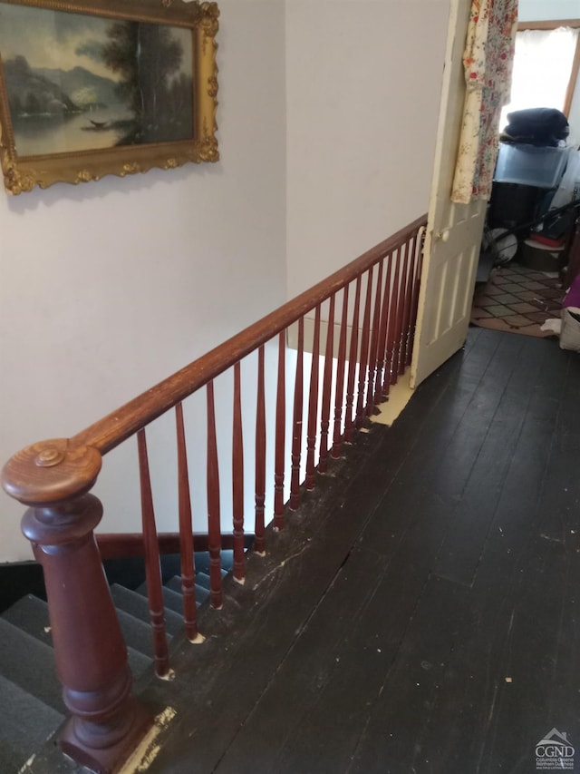 stairway with wood-type flooring