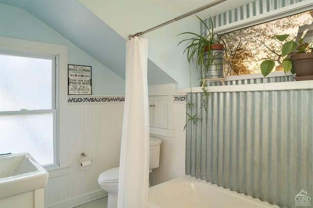 bathroom with toilet, a sink, and lofted ceiling