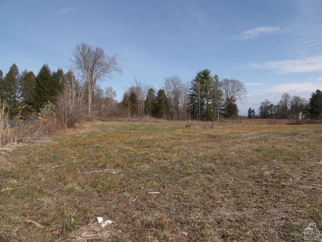 0 Lower Post Rd, Ghent NY, 12075 land for sale