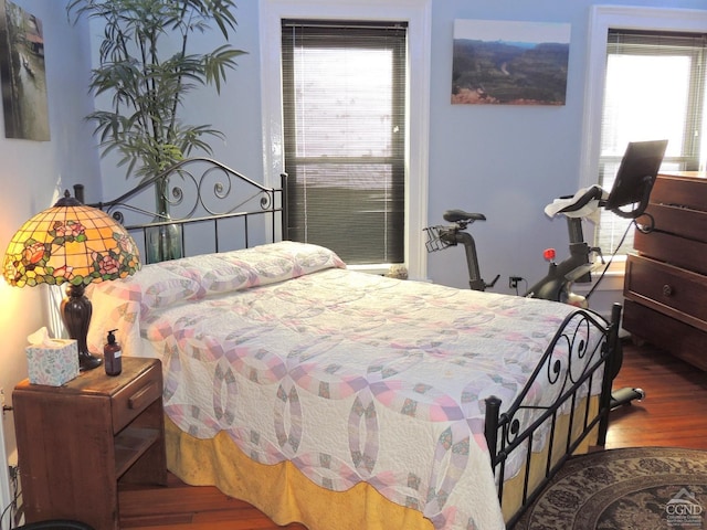 bedroom featuring wood-type flooring