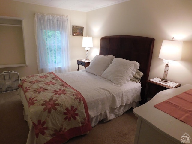 bedroom featuring carpet