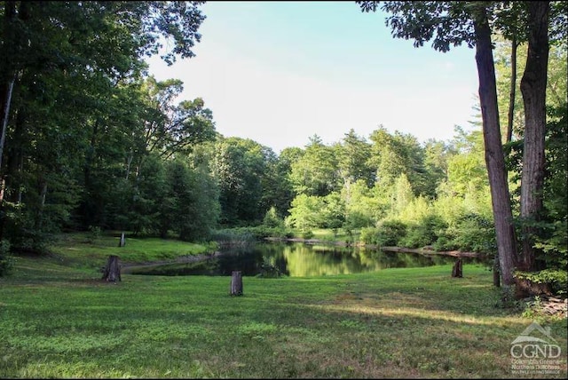 surrounding community featuring a water view, a lawn, and a view of trees