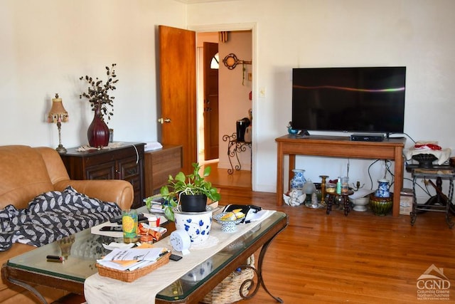 living room with hardwood / wood-style flooring