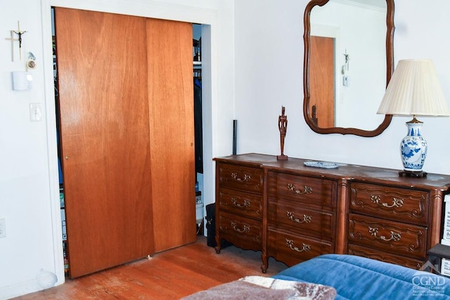 bedroom featuring a closet and wood-type flooring