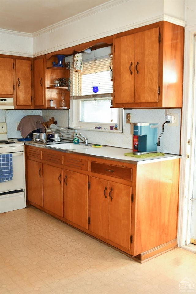 kitchen featuring decorative backsplash, white range with electric stovetop, crown molding, and sink